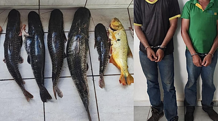 Polícia Ambiental Apreende Cerca de 80 Kg de Peixe em Ação Próxima à Usina de Jauru
