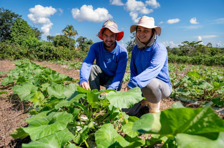 Governo de Mato Grosso  investiu R$ 720 milhões na agricultura familiar
