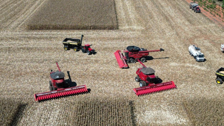 Mato Grosso dá início à colheita da segunda safra nacional de milho
