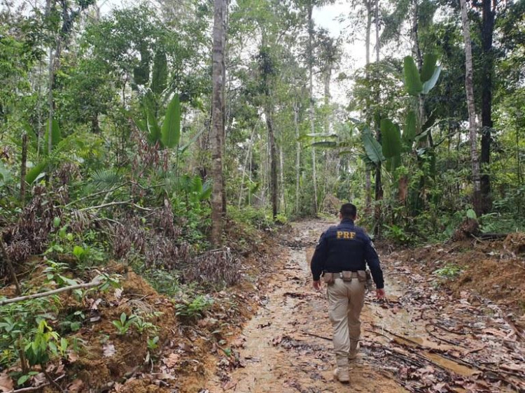 No Dia Mundial do Meio Ambiente, PRF divulga resultados da prevenção e do combate aos crimes ambientais