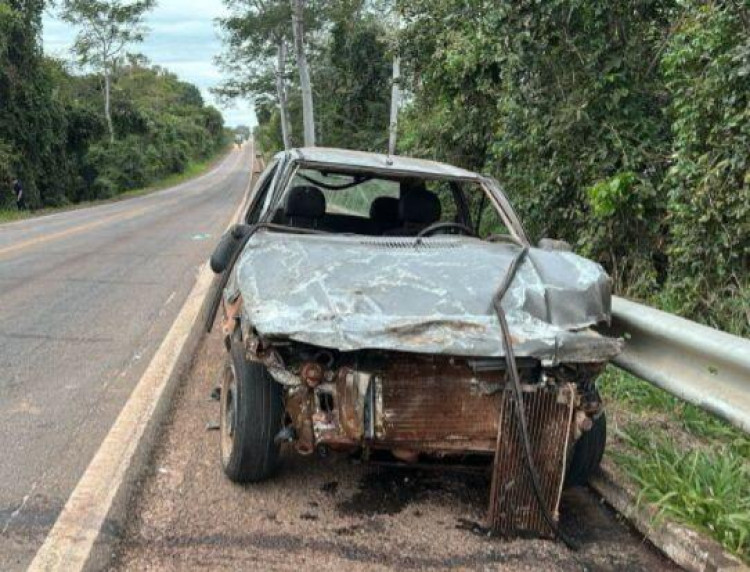 Uno colide em capivara e capota carro na Br- 174 proximo a UNEMAT em Pontes  e Lacerda