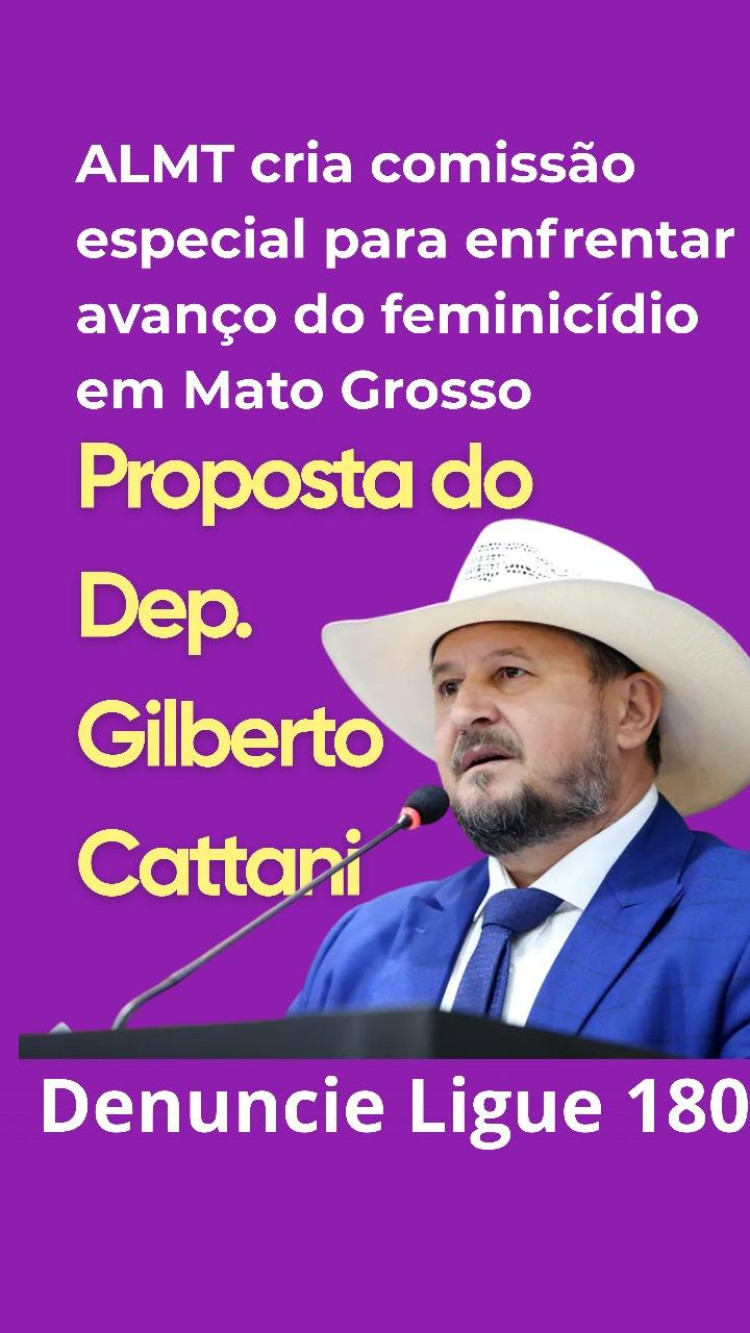 ALMT cria comissão especial para enfrentar avanço do feminicídio em Mato Grosso