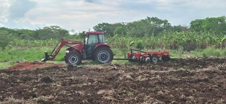 Idoso é preso em flagrante invadindo e plantando milho em área cedida à UNEMAT em Cáceres