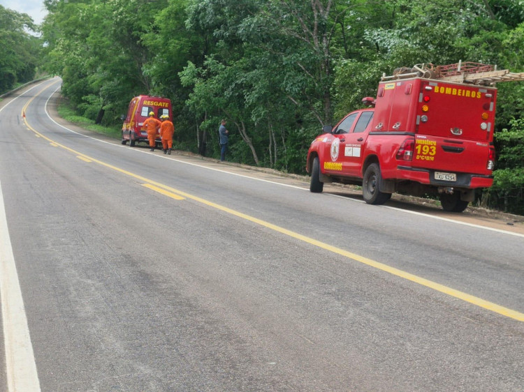 Acidente grave tira vida de uma pessoa na BR 174, próximo de Adrianópolis