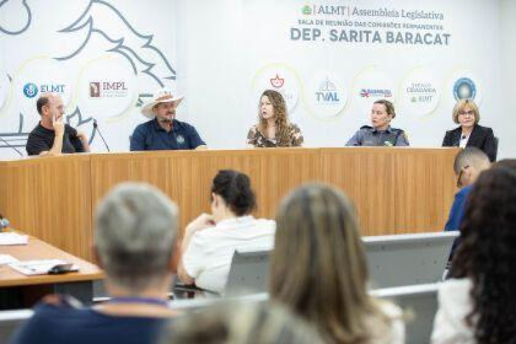 Comissão Especial da Assembleia inicia debates para enfrentar feminicídios em MT