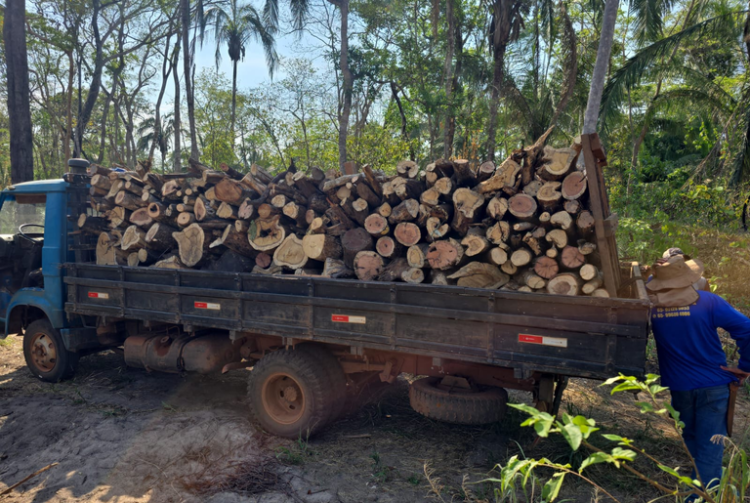 PF deflagra operação em combate a comercialização ilegal de madeira no Mato Grosso