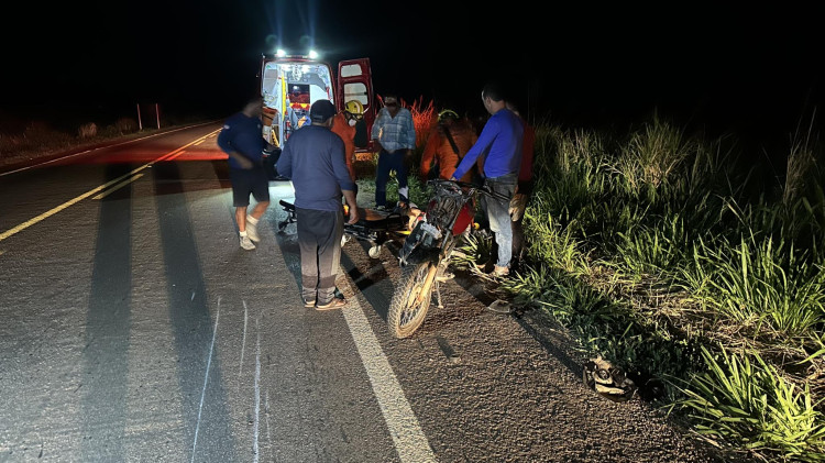 Motociclista fica ferido após atingir tamanduá na estrada do Matão em Pontes e Lacerda