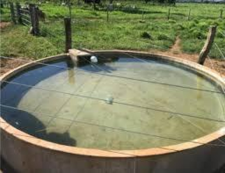 Criança de 3 anos morre após se afogar em bebedouro de gado em fazenda
