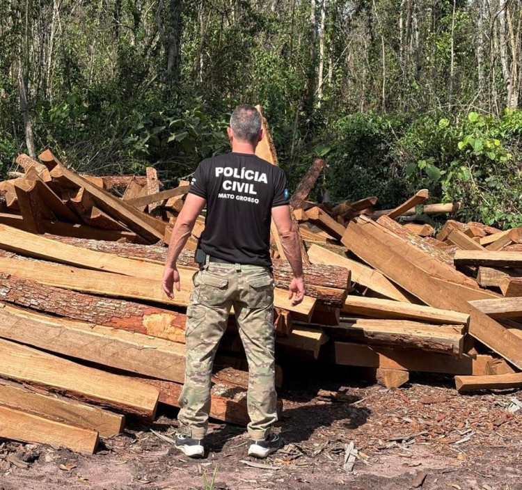 Polícia apreende madeira ilegal durante operação em Comodoro
