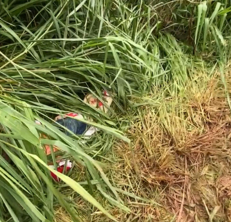 Segundo corpo é encontrado as margens do rio Guaporé em Pontes e Lacerda