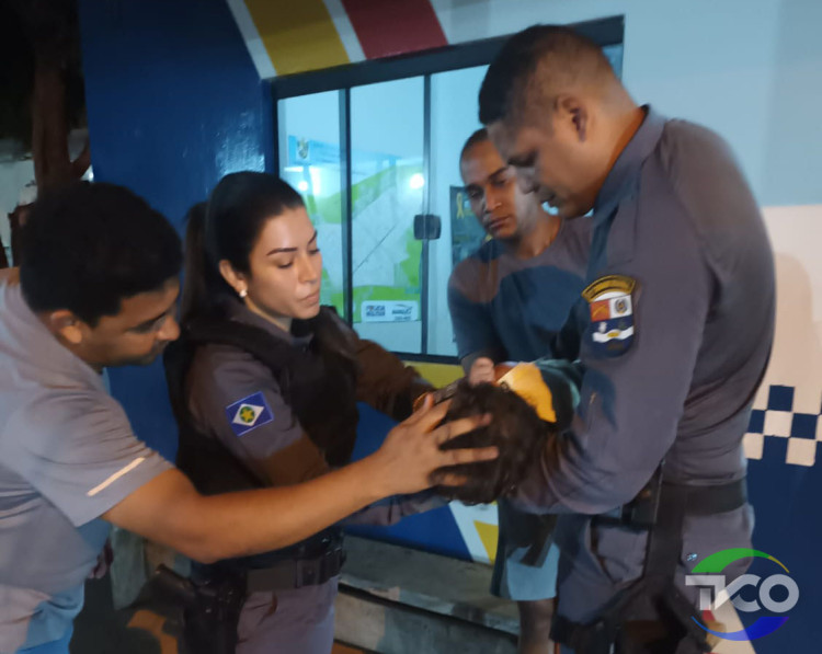 Criança em convulsão desmaia e PMs conseguem reanima-lo, em Pontes e Lacerda
