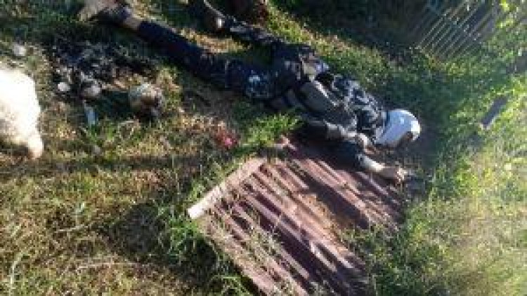 Fazendeiro reage a assalto e mata um bandido em Reserva do Cabaçal