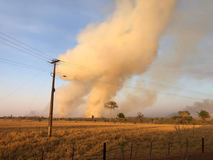 Incêndio atinge canavial de usina em Lambari D’Oeste e assusta moradores. Veja os vídeos: