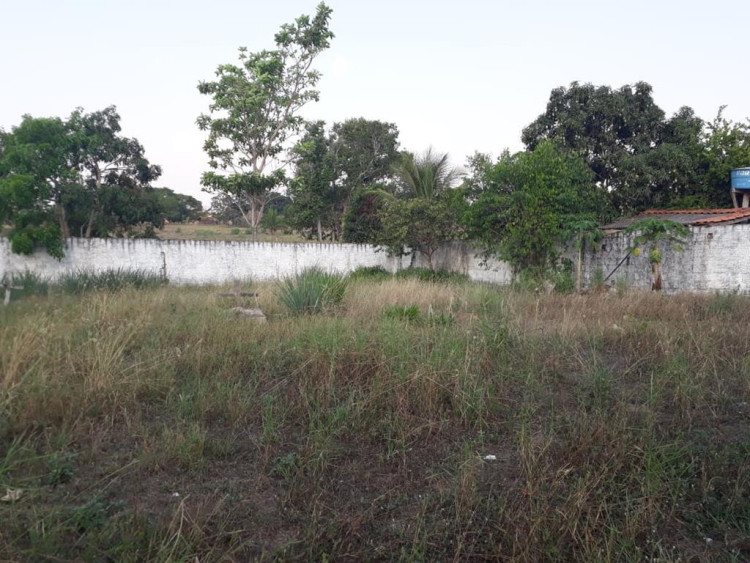 Matagal cobre os túmulos do primeiro cemitério de Pontes e Lacerda no bairro Vila Guaporé