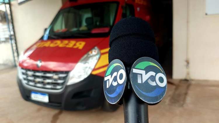 Motociclista bate em capivara na BR 174B e fica ferido
