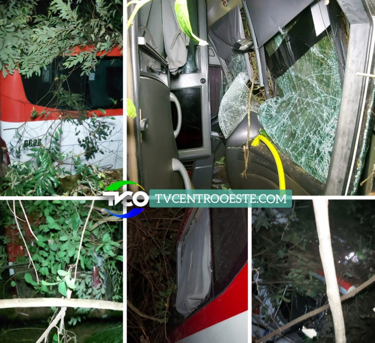 Motorista perde o controle da direção e ônibus sai da pista com quase 20 passageiros