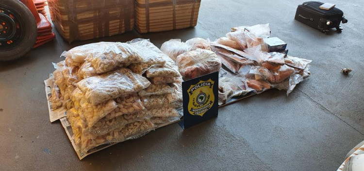Polícia Rodoviária Federal apreende carga de frutos do mar irregular