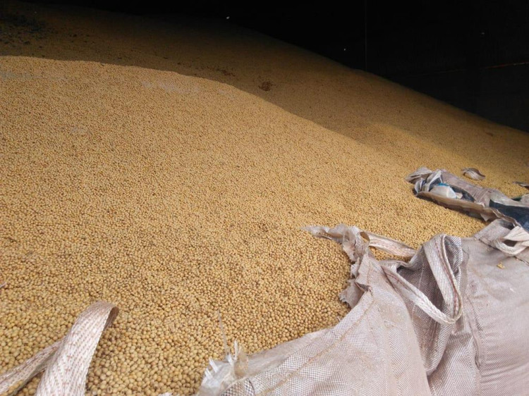 Urgente: pessoa soterrada em silo de soja em Vila Bela; Bombeiros em deslocamento