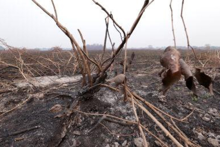 Câmara setorial temática vai debater sobre mudanças climáticas