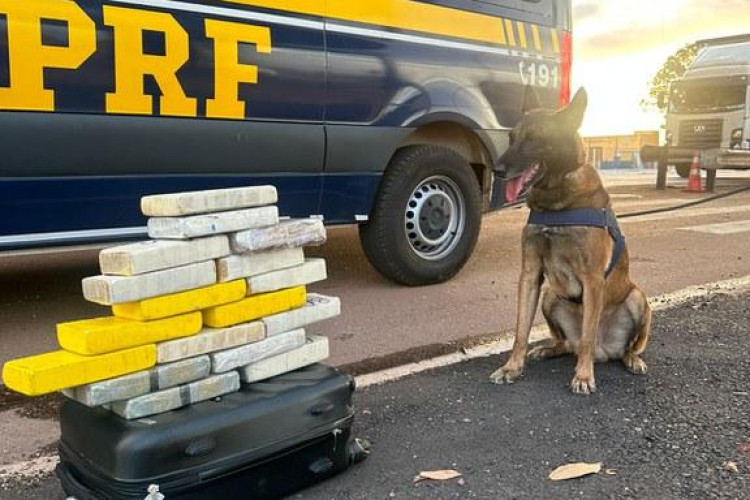 Em Rondonópolis-MT, PRF apreende 17.75kg de cocaína com passageiro de ônibus