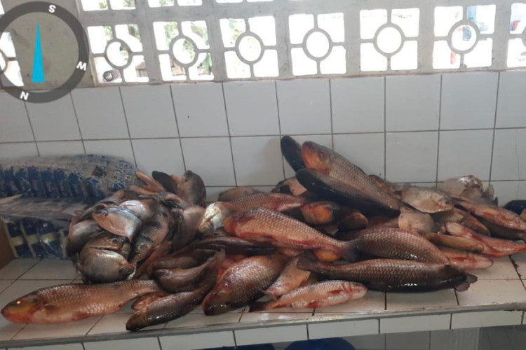 Sema e PM apreendem 87 quilos de pescado ilegal na região do Pantanal