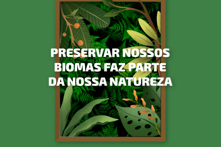 Sicredi inclui sustentabilidade na estratégia de gestão