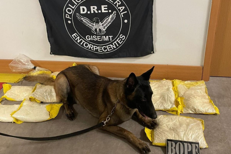 Cão do Bope encontra mais de 10 quilos de pasta base enrolados em passageiros no Aeroporto Marechal Rondon