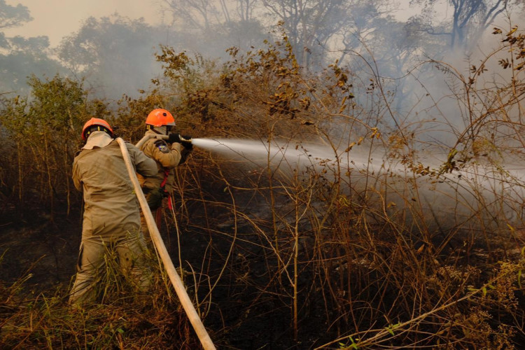 Período proibitivo de uso de fogo em áreas rurais começa neste sábado (1º)