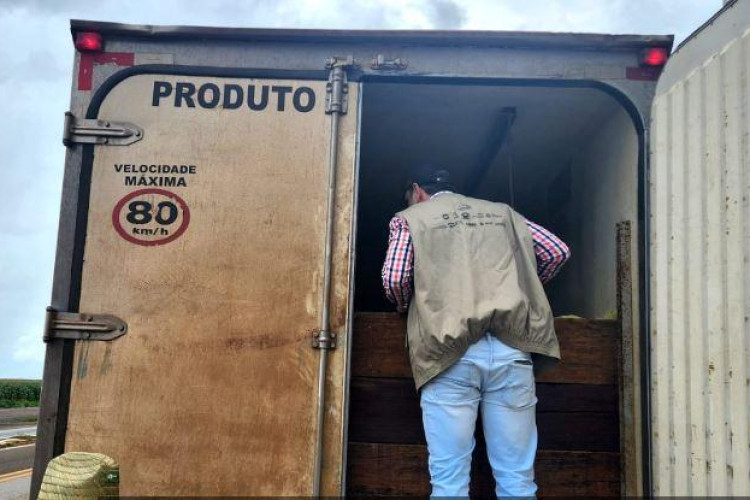 Indea intensifica fiscalização do transporte de pescado em rodovias estaduais