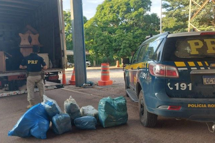 PRF apreende 50kg de Maconha em caminhão de mudança em Cáceres - MT; droga saiu de Pontes e Lacerda