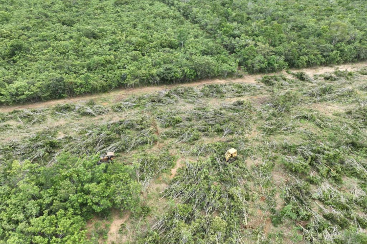 Sema e PM flagram desmatamento ilegal com apoio de drones e tecnologia de geoprocessamento