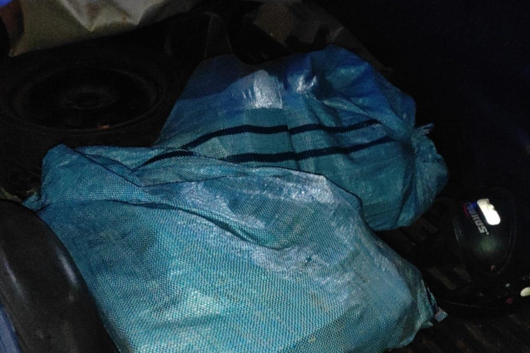 VILA BELA: Polícia Civil apreende 108 tabletes de cloridrato de cocaína em abordagem na fronteira com a Bolívia; traficante morre em confronto
