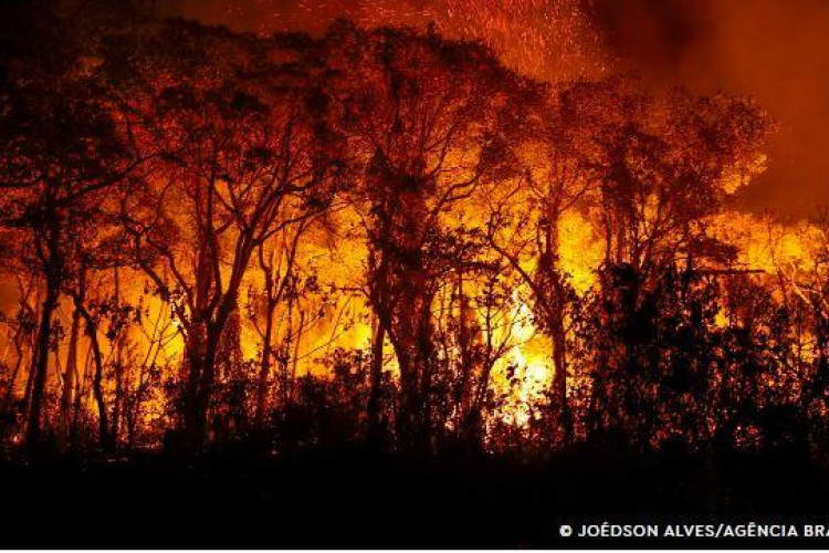 PF investiga incêndios criminosos no Pantanal
