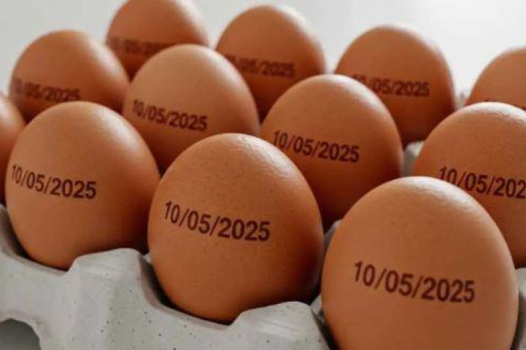 Agricultura suspende determinação de carimbar data de validade em ovos
