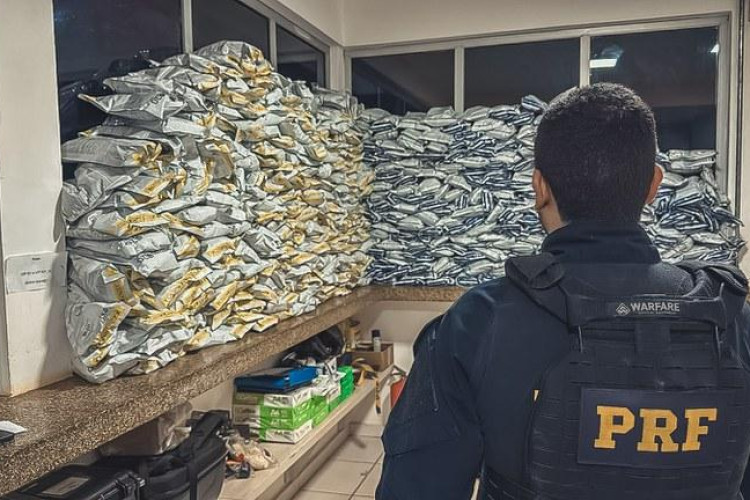 PRF apreende 544 kg de agrotóxicos ilegais em caminhão em Sorriso-MT
