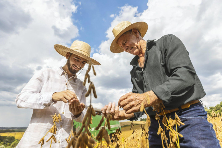 Plano Safra 2025/2026: Associados do Sicredi terão R$ 68 bilhões em recursos nesta temporada