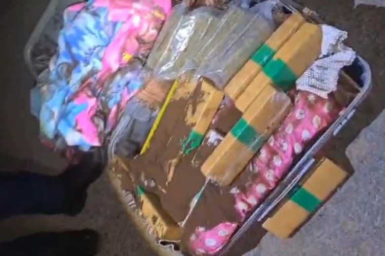 Adolescente é apreendida em flagrante transportando 20 tabletes de maconha em ônibus para interior de MT