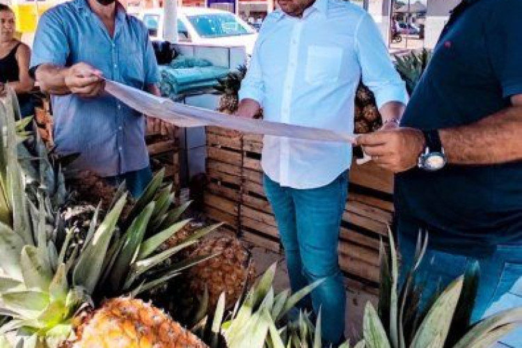 Advogado se fortalece à Câmara Federal