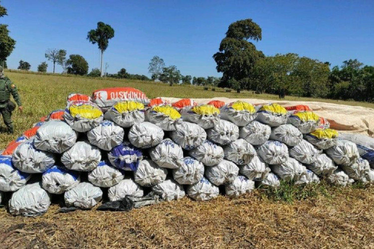 Batalhão Ambiental fecha carvoaria ilegal e apreende três toneladas de carvão em MT