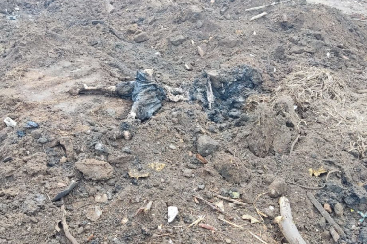 Buscas localizam cadáver em depósito de entulhos que pode ser de jovem que foi torturado e morto em Jauru