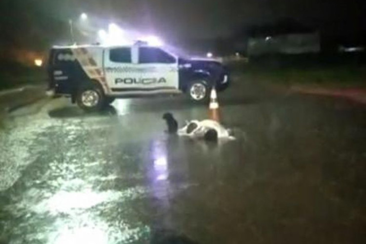Cães ficam ao lado do corpo do dono que morreu atropelado durante temporal em MT