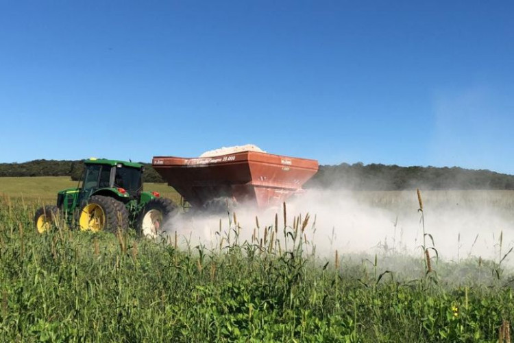CALCÁRIO; Aumento no consumo demonstra cuidado e qualidade do solo