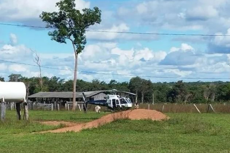 Com ajuda de cão farejador, homem é resgatado após ficar 72h desaparecido em mata em MT