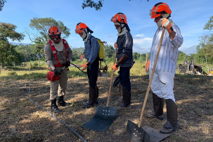 Corpo de Bombeiros abre processo seletivo para contratação de brigadistas florestais