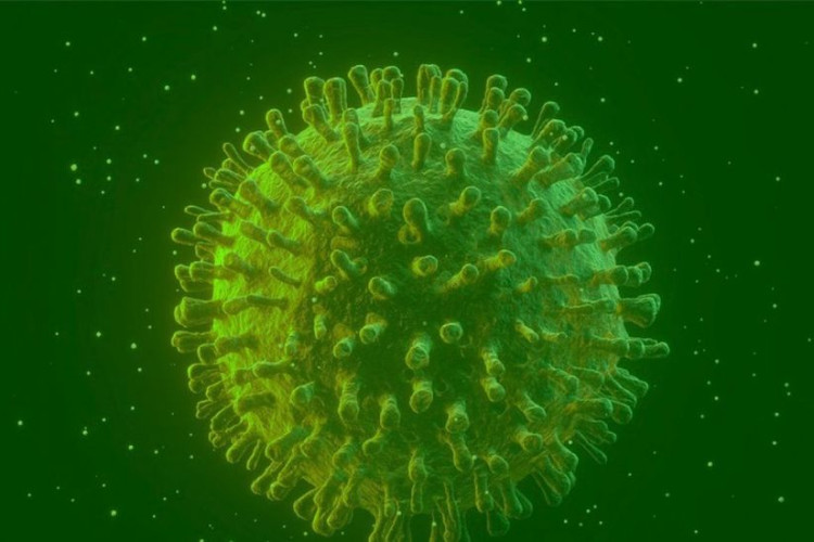 Covid-19: estudo diz que infectados podem gerar anticorpos permanentes