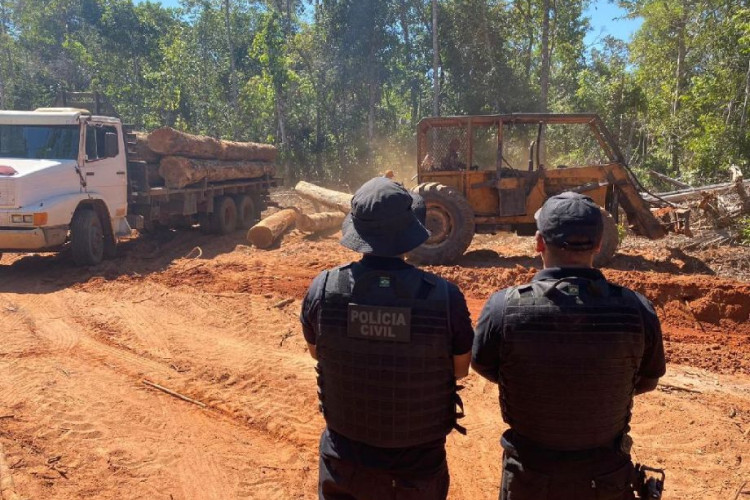 Delegacia de Meio Ambiente fecha ano com 35 operações de combate a diferentes crimes ambientais em MT