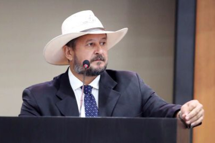 Deputado propõe autorização de porte de arma para mulheres sob medida protetiva e advogados