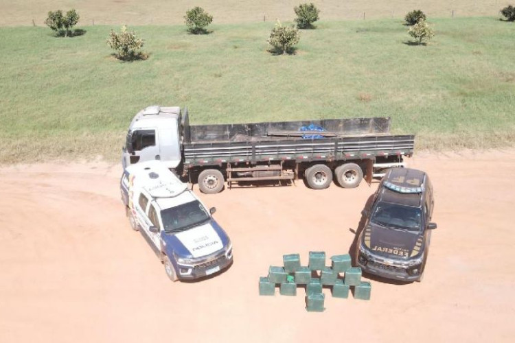 Droga avaliada em R$ 10 milhões é encontrada escondida em carga de semente de algodão em MT