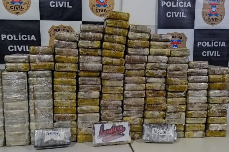 Droga avaliada em R$ 5 milhões é aprendida em carreta carregada de algodão em Campos de Júlio