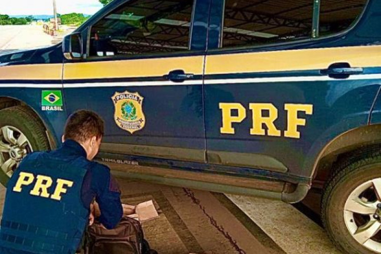 Em Cuiabá, PRF apreende droga em ônibus com auxílio de cão farejador